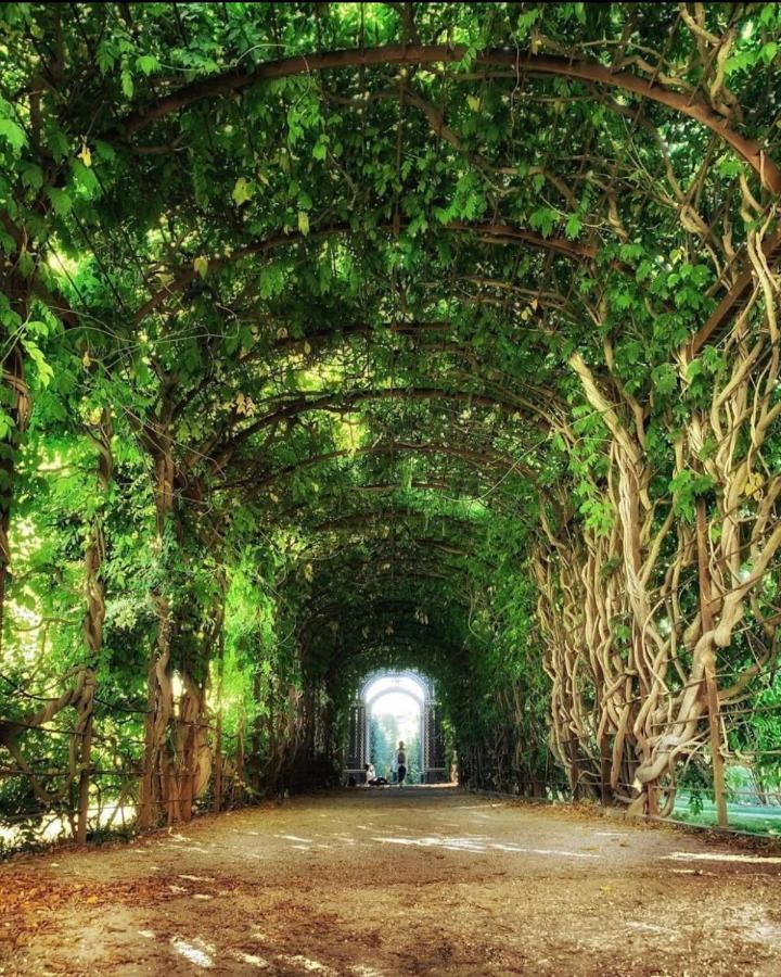 Regal Retreat Intimate Elegance Near Schoenbrunn Palace Вена Экстерьер фото