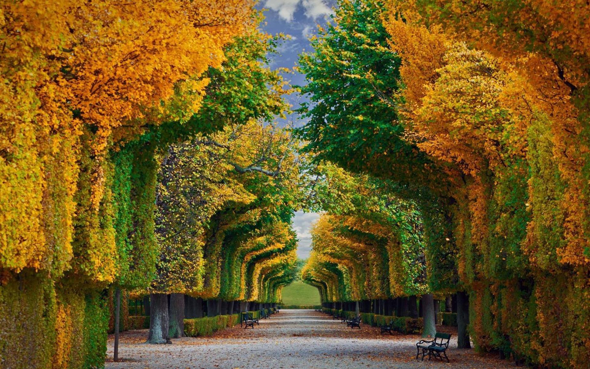 Regal Retreat Intimate Elegance Near Schoenbrunn Palace Вена Экстерьер фото